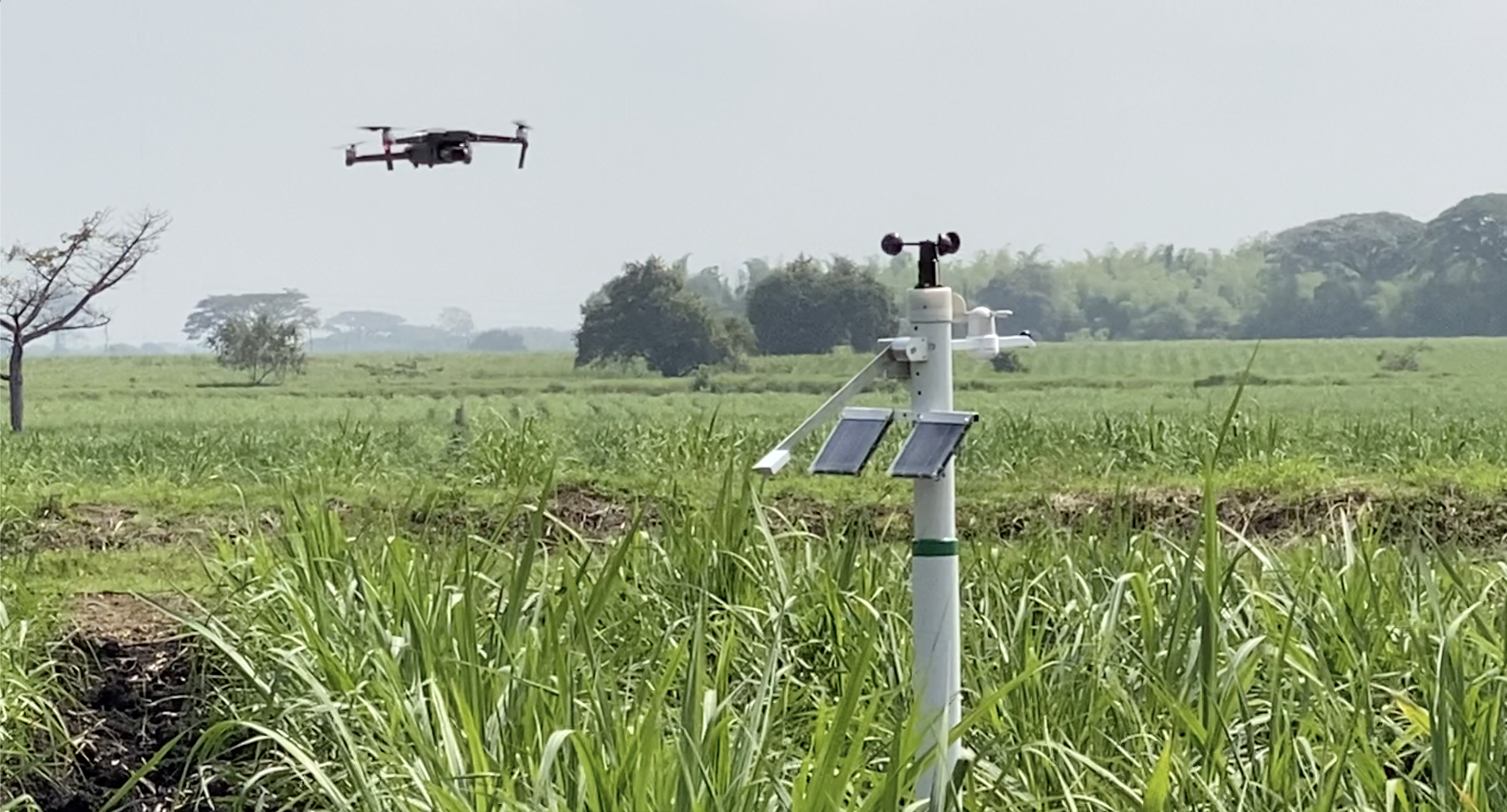 Robótica móvil y terrestre, agricultura inteligente para cultivos de alto rendimiento