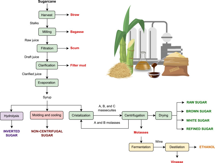 Compuestos bioactivos como alternativa para la industria de la caña de azúcar: Hacia un enfoque integrador