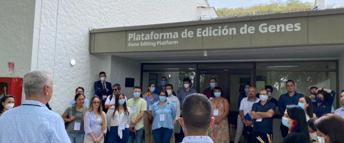 Curso edición génica