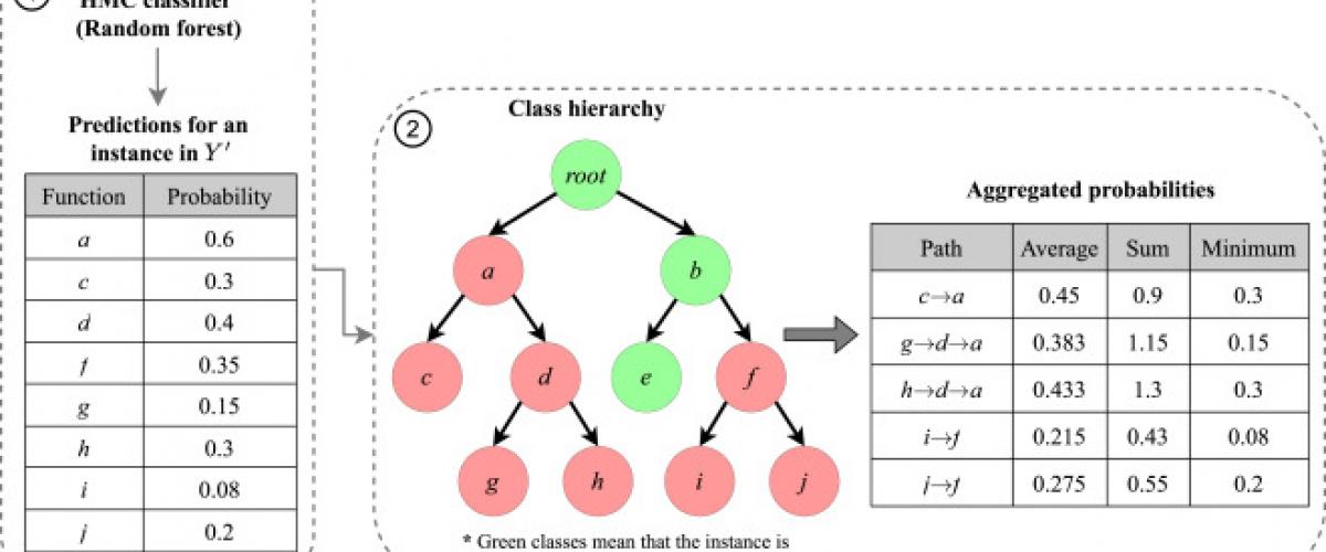 Leveraging class hierarchy for detecting missing annotations on hierarchical multi-label classification