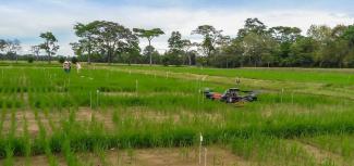 Drones para una mejor producción agrícola