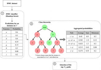 Leveraging class hierarchy for detecting missing annotations on hierarchical multi-label classification