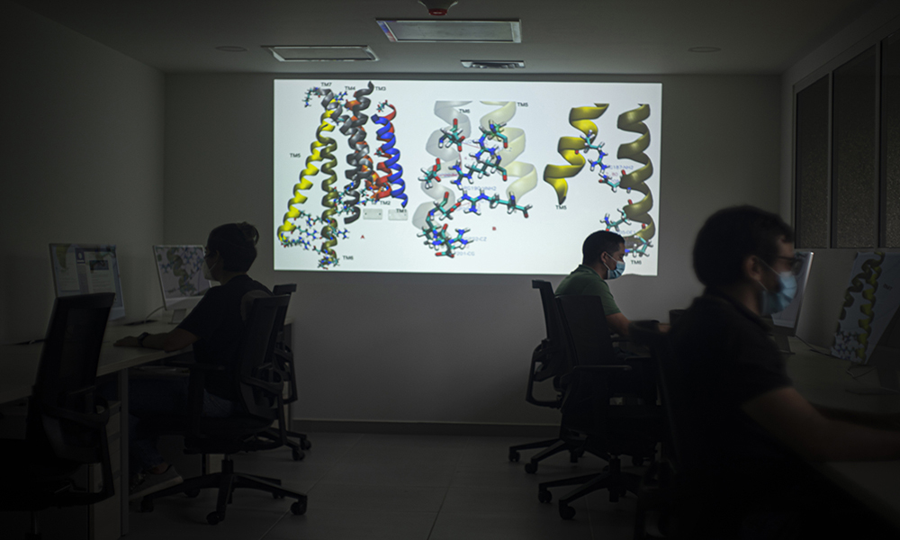 Modelamiento y simulación computacional de proteínas para la salud de organismos vivos